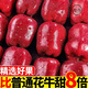 甘肅天水花牛蘋果蛇紅果粉脆沙面甜平果老人新鮮水果10斤 9.5-10斤 中果