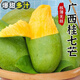 廣西桂七芒果百色香芒新鮮2025水果當(dāng)季樹上熟大果大青芒非金煌芒 凈重8.5 大果【約150g+】