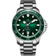 海鷗（SEAGULL）【明星同款】海鷗手表海洋Pro系列300米防水潛水腕表男表女表1210 【300米防水】1210珊瑚綠44mm