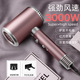 小米有品通用吹風(fēng)機家用靜音負離子大功率不傷發(fā)3000W高速風(fēng)筒發(fā)廊大風(fēng)力 【櫻花粉】3000W智能+負離子變頻
