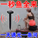 水下誘魚(yú)黑科技全自動(dòng)2025款無(wú)線(xiàn)聲納誘魚(yú)器超聲波誘魚(yú)器一秒魚(yú)來(lái) 一根【超聲波誘魚(yú)體驗裝】