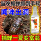 知了捕捉器聞味出洞誘蟬神器抓知了爬叉猴金蟬新鮮專用誘蟬水 單瓶裝【體驗(yàn)裝】聞味來