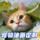 寵物貓咪狗狗油畫定制照片純手繪肖像畫裝飾畫自畫像來(lái)圖定制 尺寸咨詢?cè)诰€客服 純手繪油畫定制