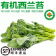 【有機】西蘭花 云南新鮮甜桿西藍苔 菜心蘆葦西蘭花菜苔葉菜蔬菜 【有機】西蘭苔1.2KG 新品嘗鮮