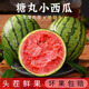 京真果小糖丸西瓜新鮮水果當季迷你西瓜薄皮孕婦愛(ài)吃 小糖丸西瓜4粒裝