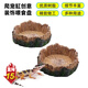 RELAPET-(1個(gè)裝)創(chuàng  )意樹(shù)脂喂食盤(pán)喂水盤(pán)水龜寄居蟹守宮蜥蜴角蛙