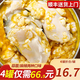 ?；蕿成柟揞^麻辣蒜蓉新鮮冷凍大生蠔肉即食熟食 牡蠣肉生鮮250g/罐 蒜蓉*2+麻辣*2（共4罐）