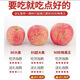 吉縣蘋果山西吉縣紅富士蘋果脆甜冰糖心禮盒水果順豐包郵 【吉縣蘋果】  特大果12顆禮盒裝