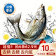 簡(jiǎn)鮮新鮮活凍三去開(kāi)背開(kāi)腹白蕉鎮海鱸魚(yú)海魚(yú)海鮮水產(chǎn)去鰓去鱗去內臟 三去海鱸魚(yú)200-250g*6條