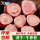 華香春內蒙古草原放養黃牛新鮮宰殺牛棒骨帶骨髓牛棒骨新鮮速凍發(fā)貨 1000g(全中段)