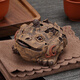 天盛堂創(chuàng)意樹(shù)皮金蟾宜興紫砂茶寵擺件精品可養(yǎng)茶具招財(cái)手工茶盤(pán)小茶玩 樹(shù)皮金蟾茶寵