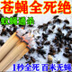 槍手滅蒼蠅神器滅蠅器蒼蠅藥蠅香無(wú)味一聞死蒼蠅蚊香驅(qū)蒼蠅蚊子專用香 3盒【買(mǎi)2 送1】蚊蠅一聞死