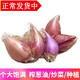 辰實(shí)【新貨】四川小香蔥 黃蔥頭紅蔥頭種子 火蔥種子 榨蔥油 紅香蔥頭 3斤