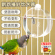 智宙寵物鸚鵡撞針飲水器自動(dòng)喂水器水壺玄風(fēng)鳥(niǎo)類(lèi)食盒喂食喝水器防賤撒 元寶撞針水壺-250ml