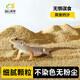 其鱗守宮鬃獅蜥蜴爬寵砂飼養用品爬蟲(chóng)缸造景裝飾墊材 爬寵鈣砂-2500g(沙漠黃)