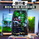 青苔苔蘚植物微景觀(guān)生態(tài)瓶養魚(yú)室內桌面盆栽耐養流水成品套餐禮物 男旅行者有流水+定時(shí)燈USB插口