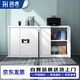 潤(rùn)虎保密柜辦公密碼文件柜鋼制保險(xiǎn)柜智能防盜資料柜小型檔案矮柜無(wú)抽