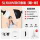 神牛SL100D/Bi直播補(bǔ)光燈led攝影燈雙色溫柔光美顏打光燈攝影棚人像拍照影視燈 【13】SL100W雙燈套裝【燈箱/燈球】 SL100D白光版