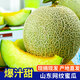 琪江果山東網(wǎng)紋蜜瓜 玫瓏冰淇淋蜜瓜當(dāng)季新鮮水果整箱 凈重3.5-4斤2-3個(gè)網(wǎng)紋蜜瓜