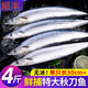 秋刀魚新鮮冷凍商用整箱特大號燒烤料理海鮮水產(chǎn)鮮活深海魚4斤裝 大號秋刀魚2斤裝