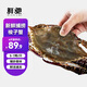 梭子蟹鮮活特大舟山大螃蟹海鮮新鮮海蟹野生冷凍飛蟹白蟹 水產(chǎn) 5-7兩/只【凈重4斤特大號蟹】