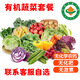 【順豐】有機蔬菜套餐 時令新鮮健康 無農殘有機蔬菜 3斤 6種【聯(lián)系客服自選】 精選
