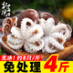 北海灣 三去小章魚 去牙去臟八爪魚 鮮活冷凍章魚海鮮水產(chǎn)火鍋燒烤食材 【無冰大號(hào)】 4斤(凈重)