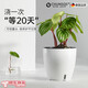 春生秋收德國品質(zhì)智能花盆綠蘿懶人花盆自動(dòng)吸水培室內(nèi)桌面家用養(yǎng)花特大 可視水位花盆1個(gè)含鋪底石 營養(yǎng)土 樹脂 x 大號(hào)【上口徑18cm】