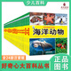 好奇心 大百科 全套24冊 彩圖注音版 小學(xué)生科普百科全書(shū) 3-4-5-6-7-8周歲少兒早教啟蒙百科叢書(shū)兒童科普啟蒙認知百科全書(shū) 全套24本