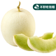 藤上熟玉菇蜜瓜單粒1.2kg