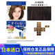 塔麗雅（Dariya）塔麗雅染發(fā)劑日本染發(fā)膏SALON de PRO染發(fā)乳霜遮蓋白發(fā)植物溫和 4號自然棕色