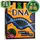 The DNA Book 英文原版 DK DNA書(shū) 英文版 全兒童英語(yǔ)課外閱讀書(shū)籍 進(jìn)口原版少兒科普 精裝 9780241411018