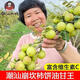 【潮汕大媽】正宗潮汕油甘新鮮油柑果余甘牛甘果孕婦水果橄欖柿餅 5斤【生吃回甘】不泡藥水