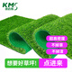 康邁斯仿真草坪人造假草坪地毯戶(hù)外陽(yáng)臺假草皮草坪墊M32mm加厚加密1平方