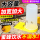 蜜蜂飼喂器喂食飲水器加厚喂糖器蜜蜂箱巢門(mén)外放養蛐蛐防淹防溺 英式蜜蜂喂食器【兩個(gè)裝】
