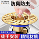 CUNKOY【德國】全銅防臭地漏芯通用衛生間下水道神器防堵防蟲(chóng)反味地漏蓋 大濾網(wǎng)全銅重力地漏芯【銅色】 即放即用丨通用安裝丨防臭防蟲(chóng)