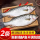 目無(wú)全牛整條鱸魚(yú)深海特大鮮活速凍七星花鱸魚(yú)新鮮海鮮水產(chǎn) 700-800g/條 整條鱸魚(yú) 2條