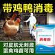 鸞磁雞場(chǎng)消毒過(guò)硫酸氫鉀復合粉養殖場(chǎng)專(zhuān)用消毒液雞舍雞圈雞棚專(zhuān)用消毒 【1袋】100g兌水80斤100平方用
