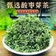 北京同仁堂官方店旗艦特級酸棗芽茶泰山野生酸棗葉茶睡眠茶葉子山酸棗牙茶 新貨頭采嫩芽一斤裝[安睡好眠]
