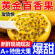2025新果精品純甜黃金百香果甜一級5斤廣西欽蜜9號樹(shù)上熟現摘水果 5斤 特大果