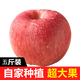 山丘二十里山東煙臺棲霞紅富士蘋果水果5斤禮盒裝9粒大果高品質(zhì)年貨不打蠟 5斤過節(jié)送人禮盒裝