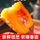 維桑正宗榴蓮蜜薯 烤地瓜山芋 新鮮黃心紅薯  絲滑軟糯山芋 5斤中果（單果約重3-8兩）