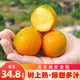 田良季廣西金桔融安脆皮桔蜜新鮮滑皮水果生鮮小橘子送禮品禮物盒年貨節 3斤裝【嘗鮮】?jì)糁?.5斤 特級果丨22-26枚/斤左右丨超甜