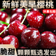 【順豐】山東美早大櫻桃新鮮國(guó)產(chǎn)車?yán)遄赢?dāng)季孕婦水果櫻桃特大整箱 1.8斤(凈重)  (劃算裝)