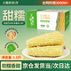 天勤粒粒凈有機(jī)小香糯玉米3.5斤（8穗）鮮食糯玉米棒玉米真空包裝早餐代餐