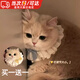 馭瑛貓咪圍脖口水巾寵物圍巾裝飾圍兜狗狗圍脖口水兜網(wǎng)紗蝴蝶結(jié)項(xiàng)圈 【買一送一】M碼-建議8-15斤