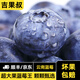 吉果叔【順豐包郵】云南藍莓 新鮮水果 超大果應當季高山怡顆甜鮮果 6盒（125g/盒） 中果16-18mm【精選優(yōu)品】