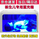 藍光燈黃疸新生兒去黃藍光燈嬰兒寶寶醫(yī)家用除降烤黃藍光儀器箱毯 【家用版】藍光箱+眼罩尿片禮包