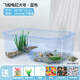 寵尚天 烏龜缸別墅生態(tài)飼養(yǎng)箱小烏龜活物活體龜盆寵物龜中華草龜 大號(hào)龜缸 藍(lán) +大禮包+龜