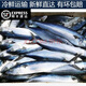 【順豐】生鮮冷凍鮐鲅魚(yú)新鮮海鮮水產(chǎn)青占魚(yú)青花魚(yú)鮐魚(yú)冷凍批發(fā) 五斤小鮐鲅魚(yú)15-22條